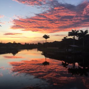 Florida Sunrise Red